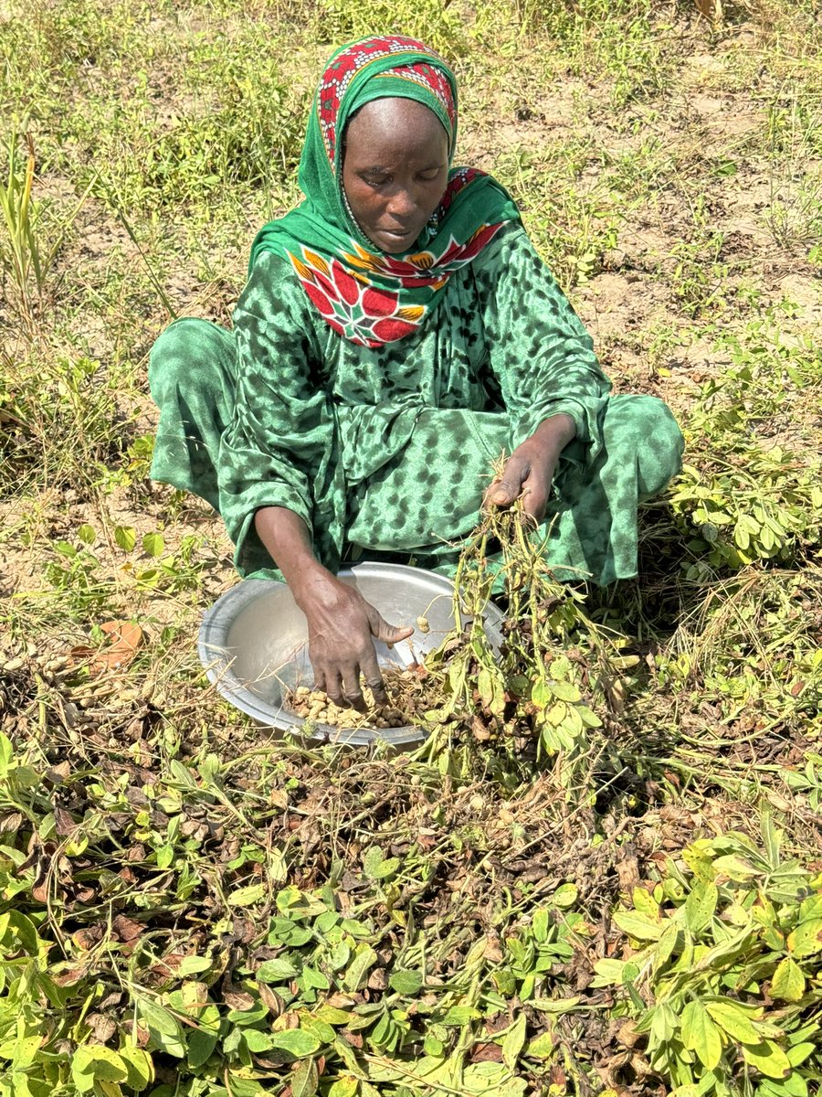 FIDAfriqueOuest's tweet photo. Le Programme 2️⃣0️⃣3️⃣0️⃣ est clair : ne laissons personne de côté. Y compris 3️⃣,5️⃣ milliards de personnes en zones rurales, sur qui reposent nos systèmes alimentaires

Le FIDA appelle à des investissements + ciblés &amp; à + de ressources concessionnelles pour les populations rurales. https://t.co/gGpxnwRtMv