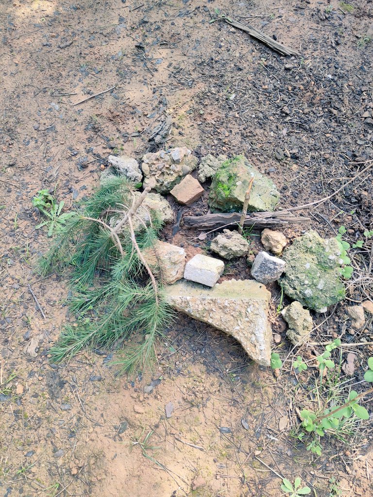 Sos Bosc Volpelleres tweet media