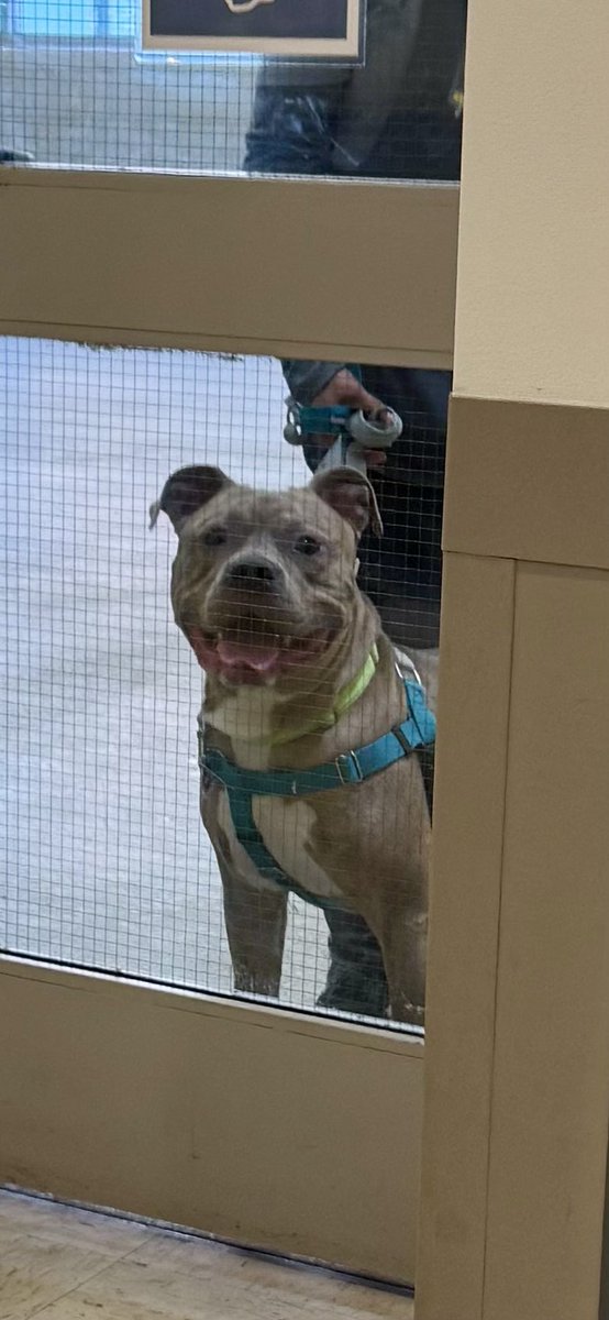 Cheryl Lee MD (She/Her) tweet media