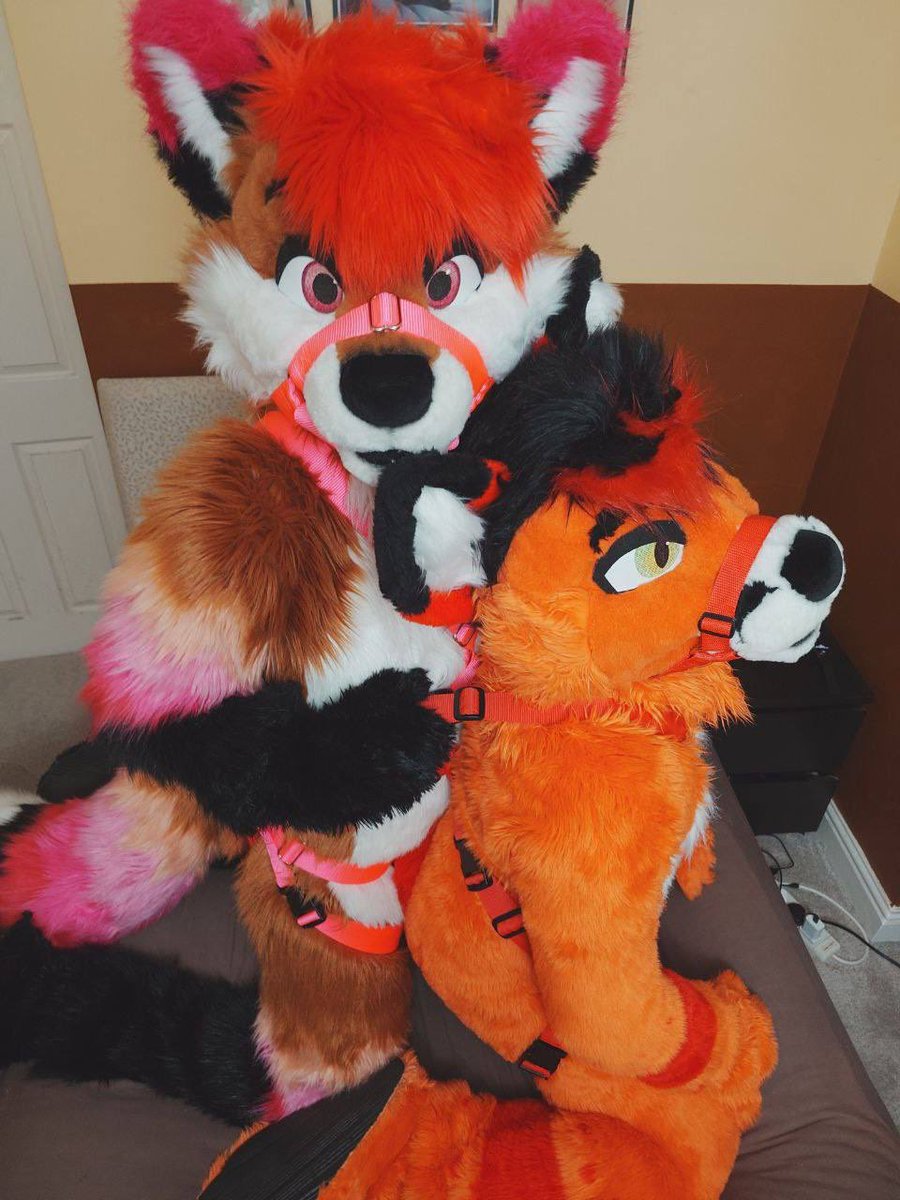 JagsyRedPanda's tweet photo. A few people have known for a little while now, but recently @Foxtalic asked me to be his pet - of course, I said yes :3 

🧵⬇️ https://t.co/CZKGt2muSS