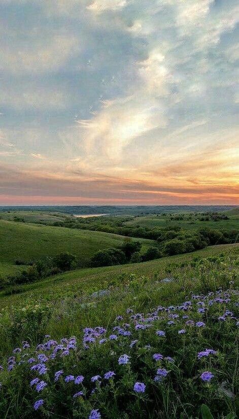 greenvibe's tweet photo. nature https://t.co/ped0GOYoyx