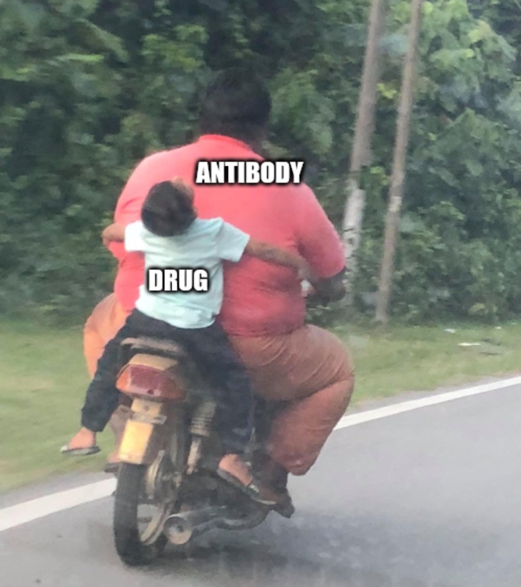 dr_yakupergun's tweet photo. Antibody Drug Conjugate https://t.co/Zld17xLsHN