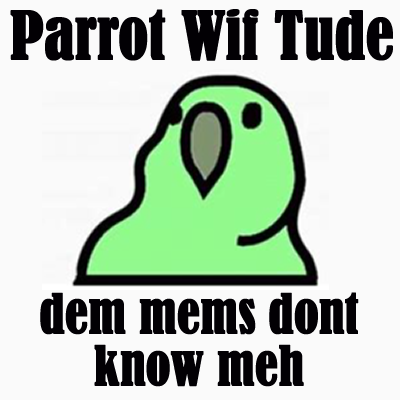 parrotwiftude's tweet photo. 🦜 https://t.co/FkQk0EbEkx