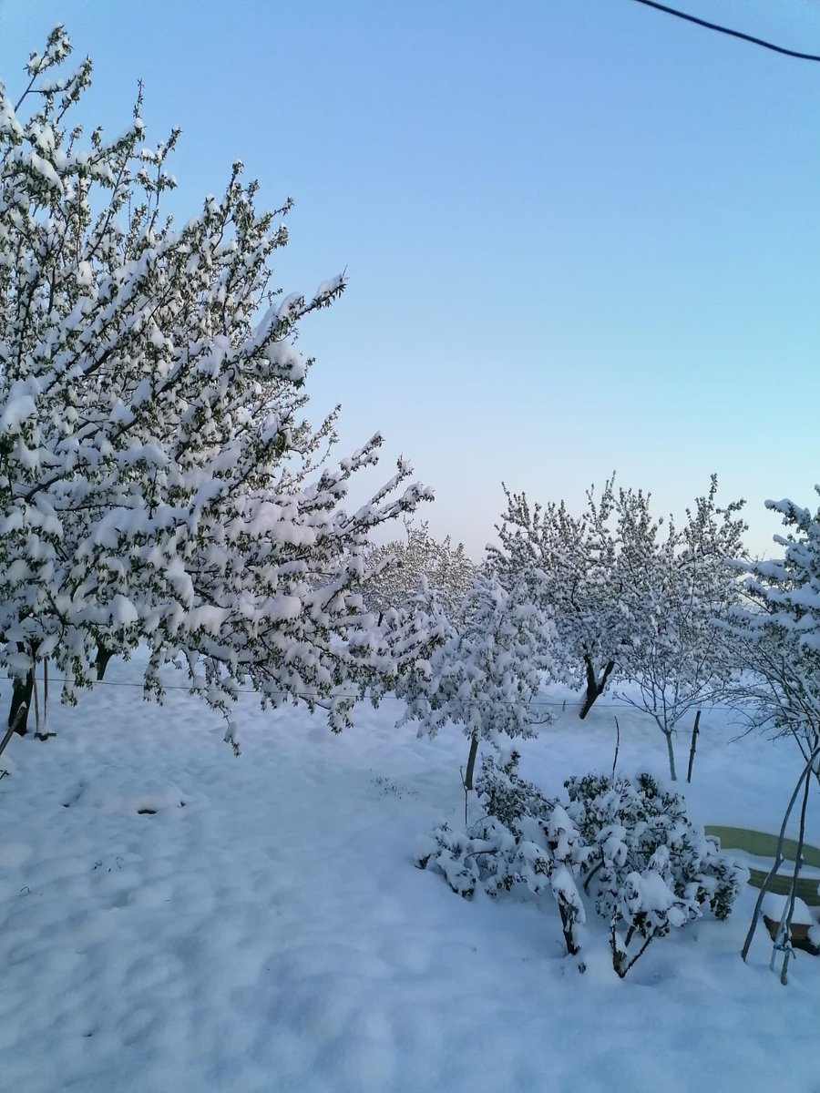 #KayısılarYandıUmutlarSöndü
Çiftçiye destek...