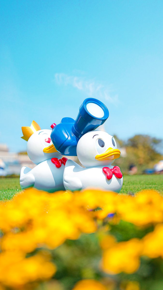 ディズニーランドにいた一番のドナオタ。