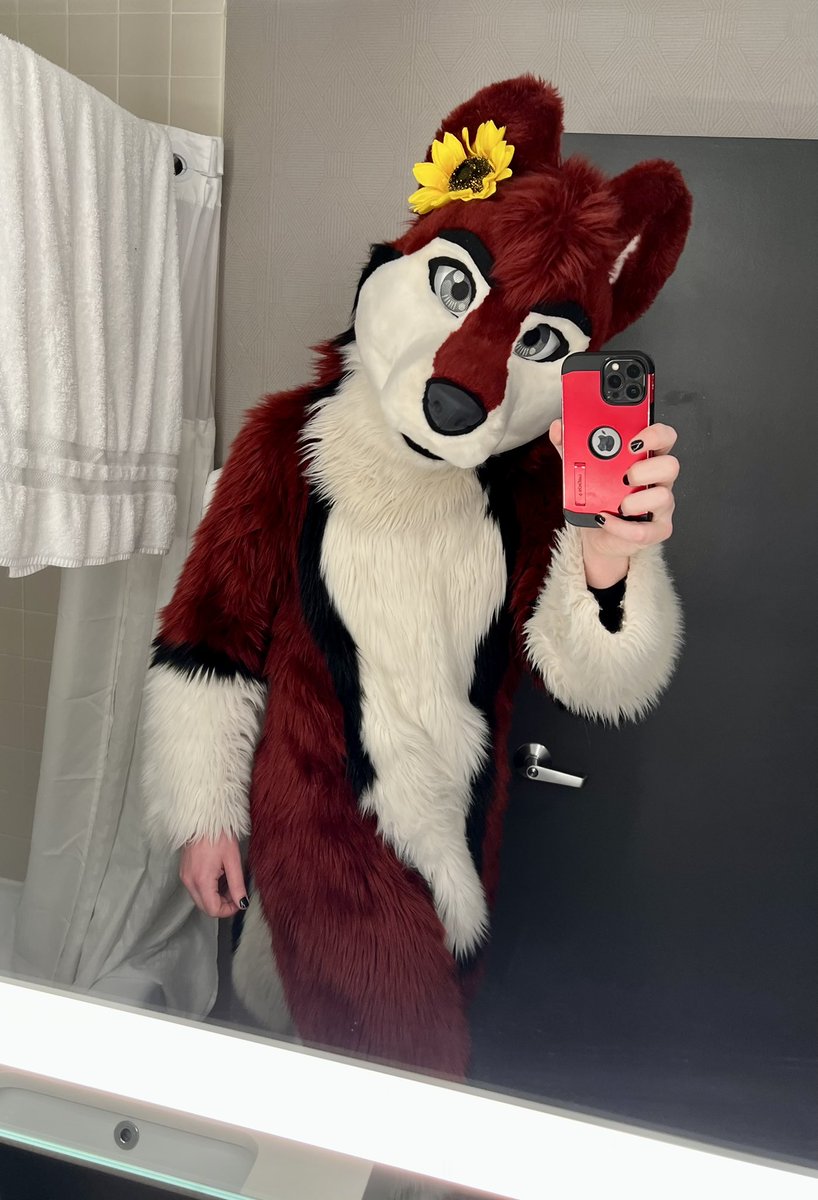 knoxx1616's tweet image. Something I don’t talk about often, I lost 55 pounds since I got measured for my fursuit in 2018. 

He’s a little baggy, but it’s a reminder that my fitness and mental health journey has came a long way since then. Wouldn’t be here without this fandom, love y’all!! ❤️❤️❤️