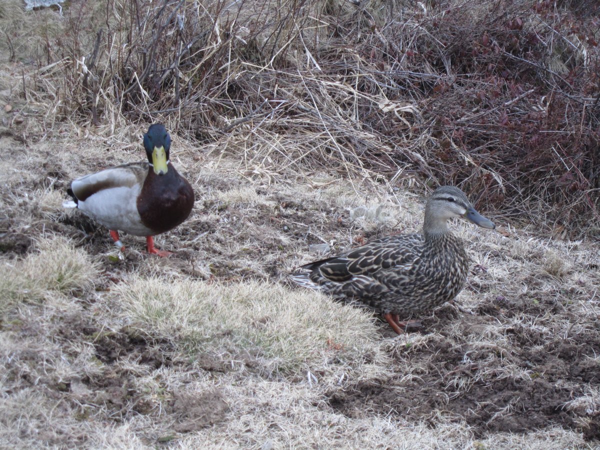 a few pics from our walk at the park yesterday!
