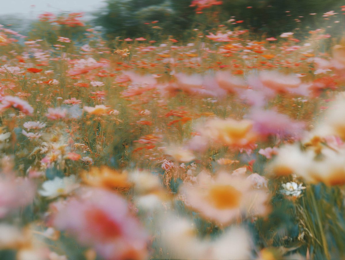 This is where I swap from