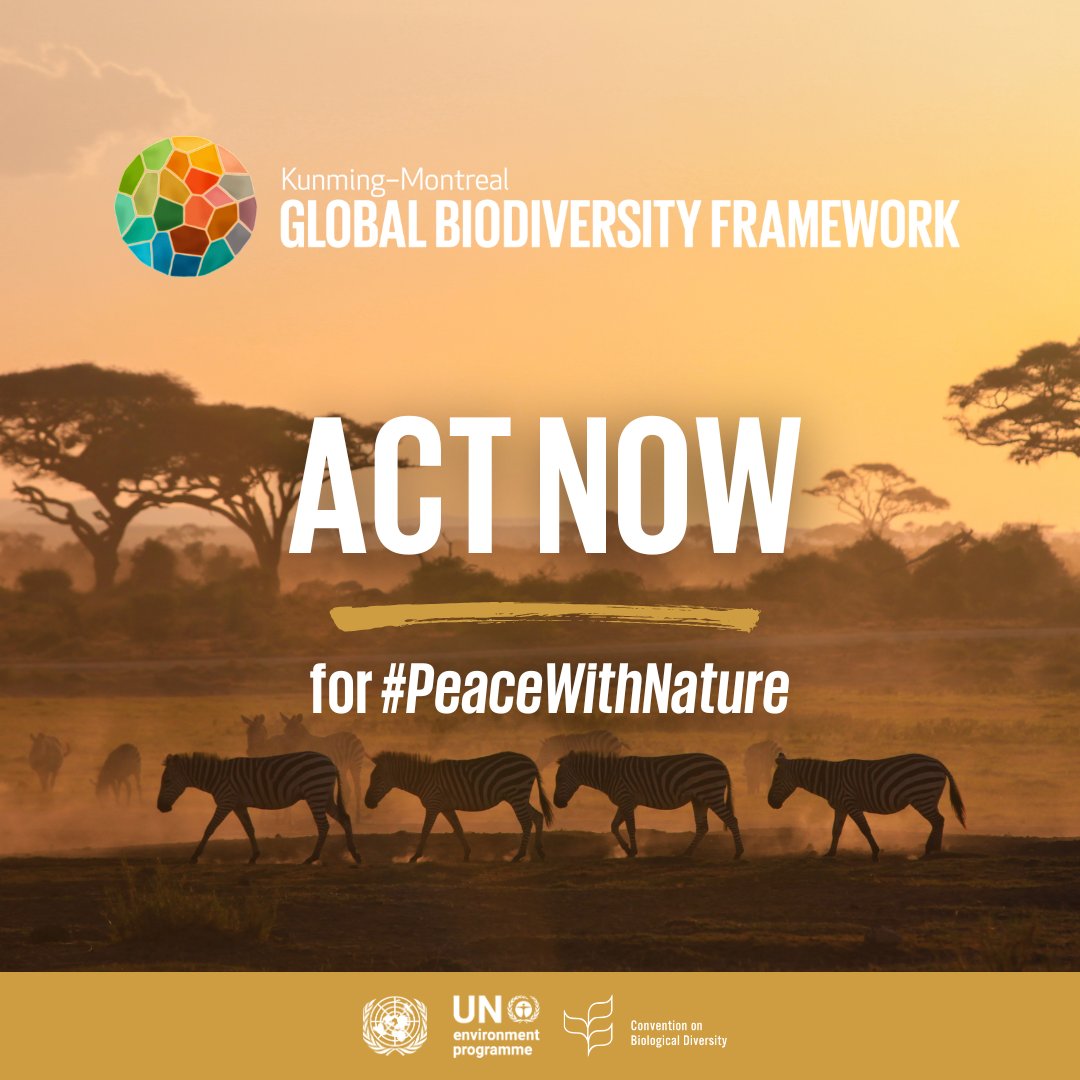 Biodiversity is the foundation of our well-being, a thriving planet, and economic prosperity for all.

Join the movement and let's drive meaningful change! 🌟