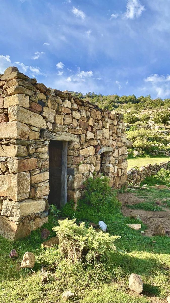 btanomah940's tweet photo. #📸

ربيع#تنومة ⛰️💐🌺

يازين المشي في الروض الخضر لاشعشع المخضار
يازين الديره اللي من حقوق الوسم ممطوره

#بلدية_تنومة
#امانة_منطقة عسير https://t.co/jBjk9xJa7l