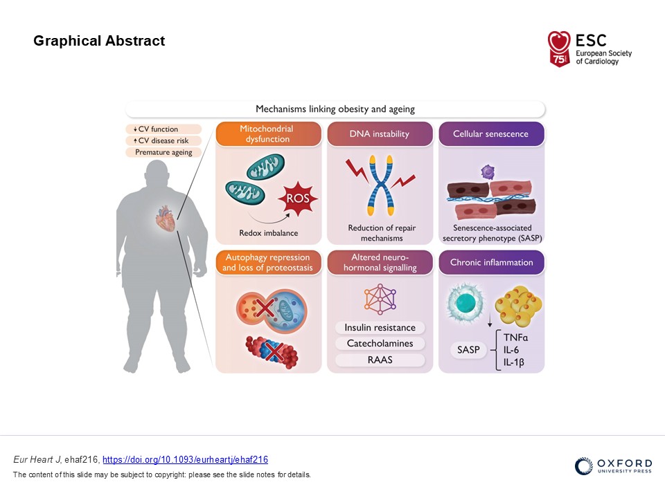 EHJ Editor-in-Chief (@ehj_ed) on Twitter photo Obesity accelerates cardiovascular ageing . Read more in EHJ
doi.org/10.1093/eurhea…
#obesity #ageing @ESCardio <a href="/ESC_Journals/">European Society of Cardiology Journals</a> Obesity accelerates cardiovascular ageing . Read more in EHJ
doi.org/10.1093/eurhea…
#obesity #ageing @ESCardio <a href="/ESC_Journals/">European Society of Cardiology Journals</a>