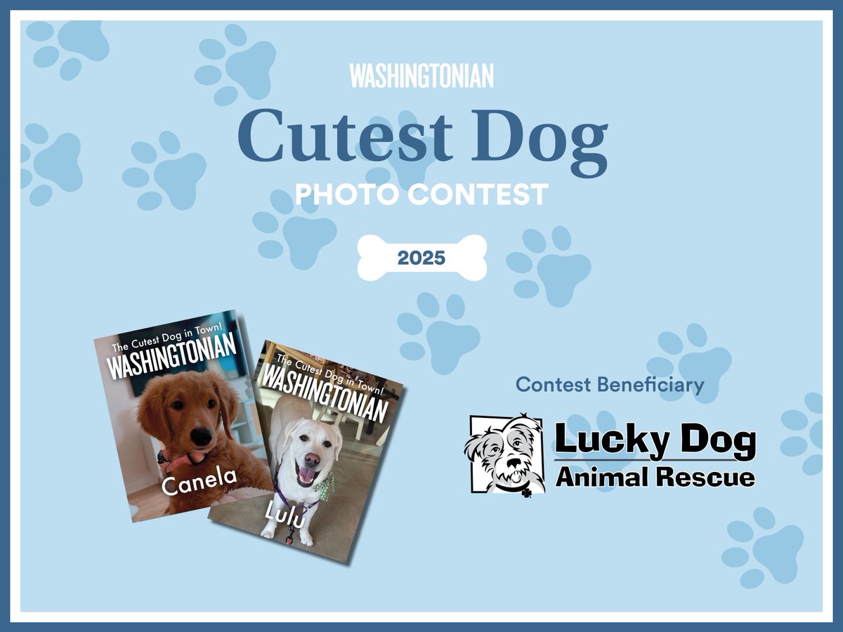 washingtonian's tweet photo. 🐾 Calling all DC dog parents! 🐾

How cute is your pooch? Enter Washingtonian’s Cutest Dog Photo Contest and show us!
https://t.co/KtXjOt3p1B https://t.co/yn53Bzwfcd