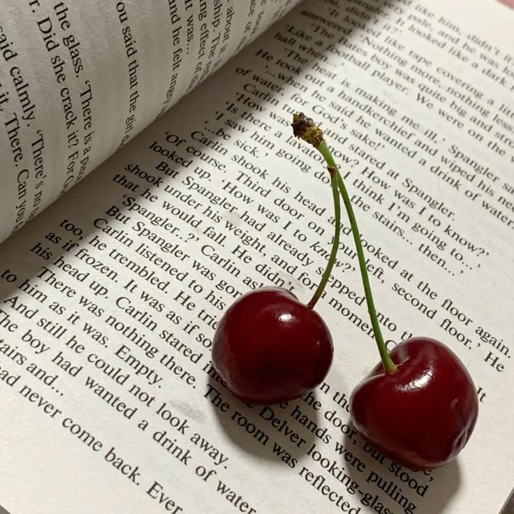 ㅤㅤ❤︎  ۫   ⠀ busco mutis  ⠀ !  
ㅤ   ㅤ( #kpoptwt, #stantwt)
                      ella | 17 | 🇦🇷
ㅤ       
— staneo a stray kids (prioridad) y dreamcatcher, pero acepto cualquier fandom mientras no rebajen a mis favs 
— flasheo confianza y hago aus!

↺ +  ♡ = mutuals