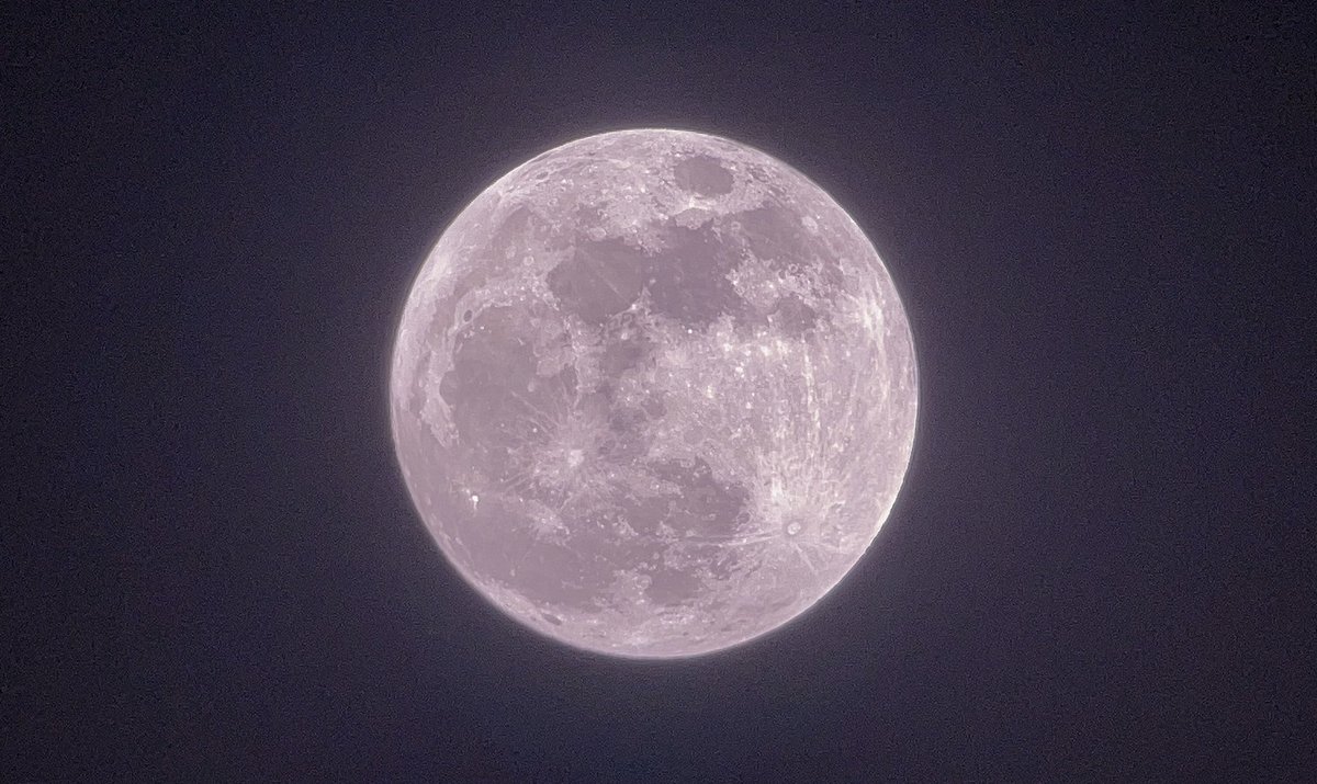 Full Pink Moon