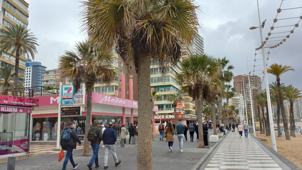 CelebritiesB's tweet photo. Benidorm,  Spain 🇪🇸 2025 
Traveling rocks !! https://t.co/9T9gQKgLlE
