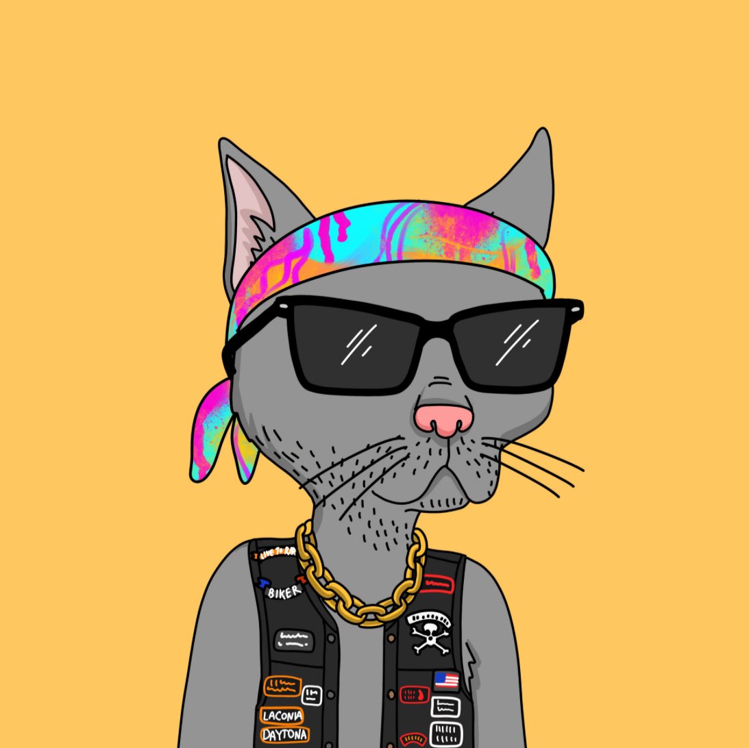 Happy Caturday Gang 🫡🫡