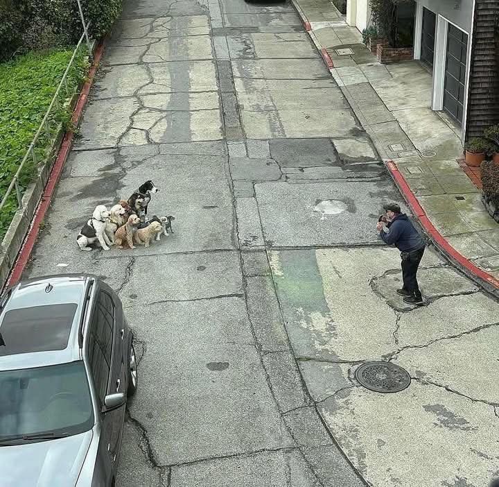 NewsDigitales tweet media