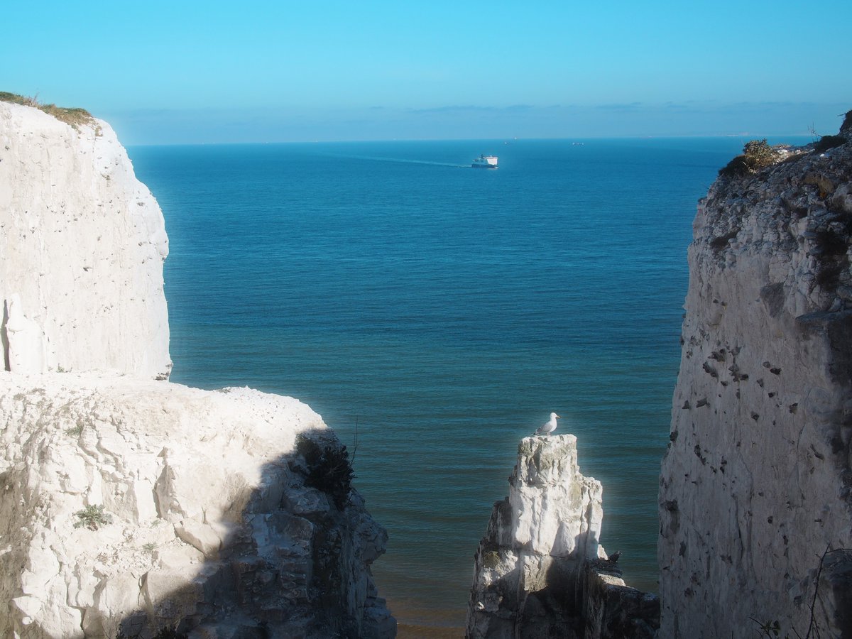 rs_parasite's tweet photo. today I walked along the white cliffs of Dover and saw a painting come to life https://t.co/Ail5onwbCX