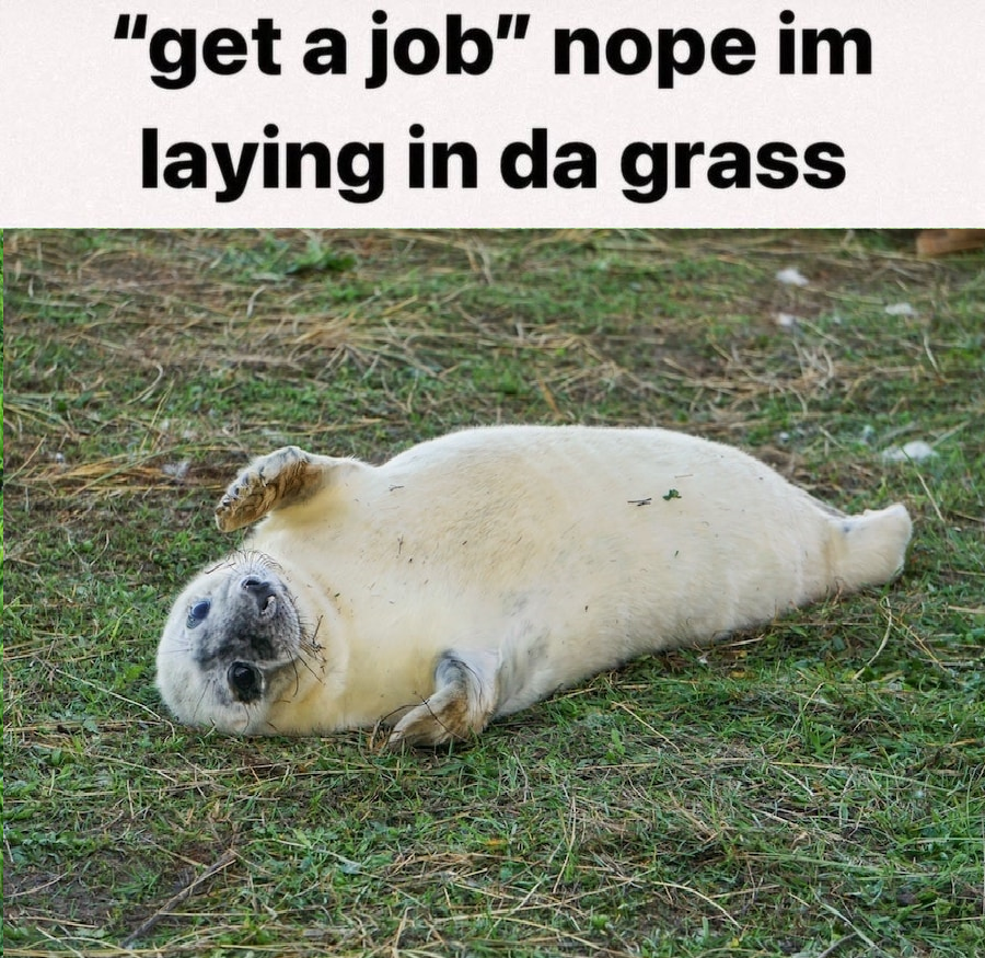 sealtoplasm's tweet photo. i really liked this so i made a seal version https://t.co/vElwUZV7pp