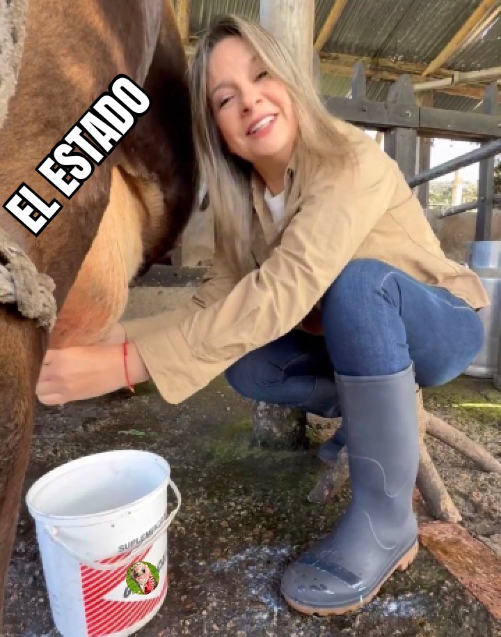 JackDeLaConcha's tweet photo. Y sí, esa es la intención. https://t.co/MkBtLgyscV