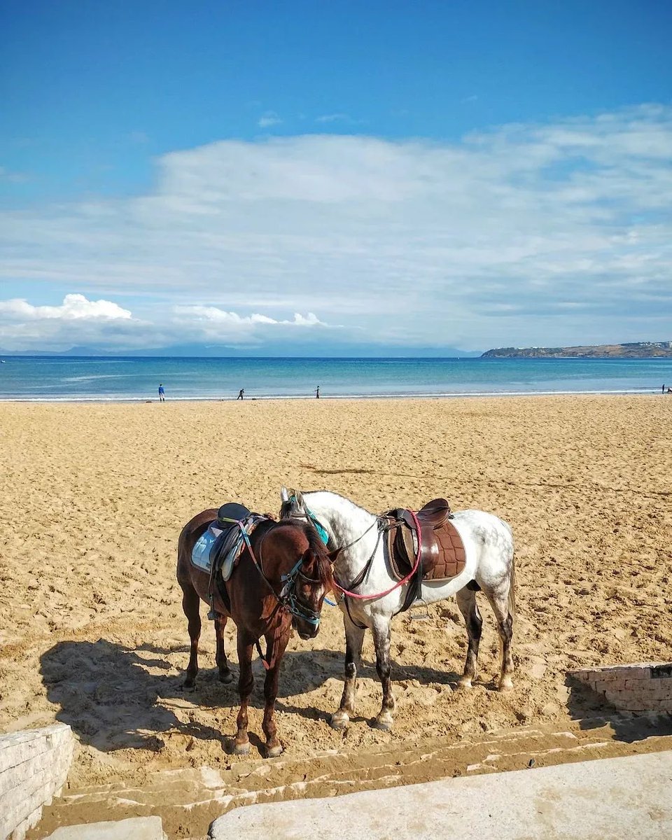 Elisa_G_Coines's tweet image. Un paseo? ....

 #playa #beach #caballo #sea #travel #primavera #mar #photography #nature #sun #love #picoftheday #ocean #instagood #photooftheday #travelphotography #sunset #landscape #sky #waves #happy #relax  #beautiful #Sabado #Saturday #finde
