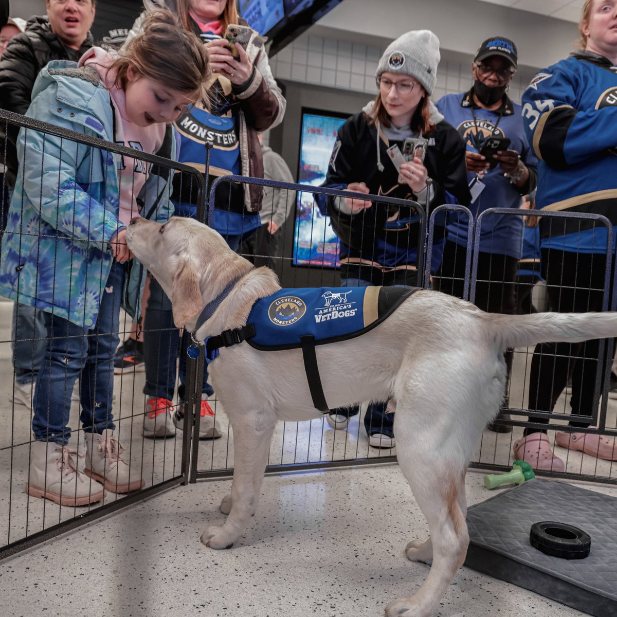 monstershockey's tweet photo. blessing your feeds with a little Reggie Content 🐶🤍

@CavsCare | @AmericasVetDogs