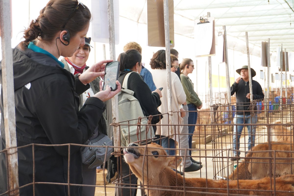 Asodelgt's tweet photo. ✅Como parte del encuentro entre el sector lácteo de Estados Unidos y Guatemala, la delegación estadounidense acompañada de representantes de #ASODEL realizó una visita de campo a la finca #Pasajinak 🐮🌳🌱⛰️ https://t.co/ewYt4KK7ah