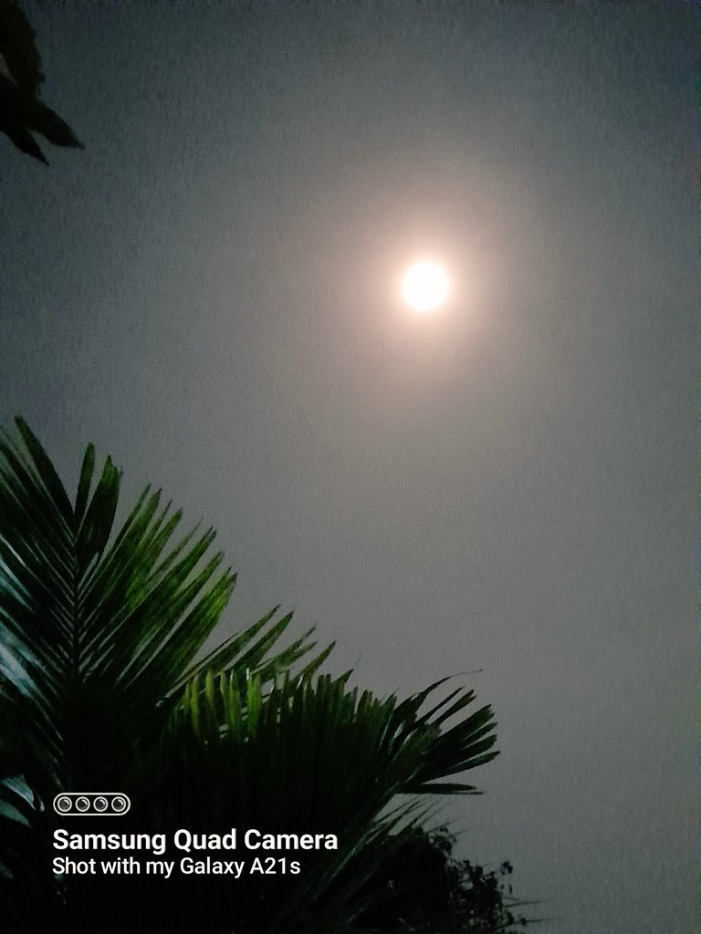 slb_cool's tweet photo. Purnima Moon looks classy ✨️✨️
#Moonclick https://t.co/6uWK9CshTZ