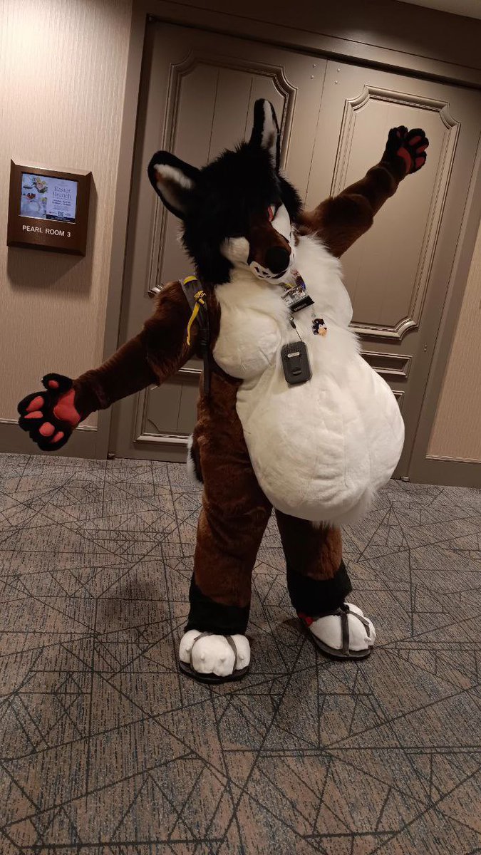 If you see this big fluff today at TFF, feel free to hug him ^^

<a href="/BNCreation/">BNCreation</a>