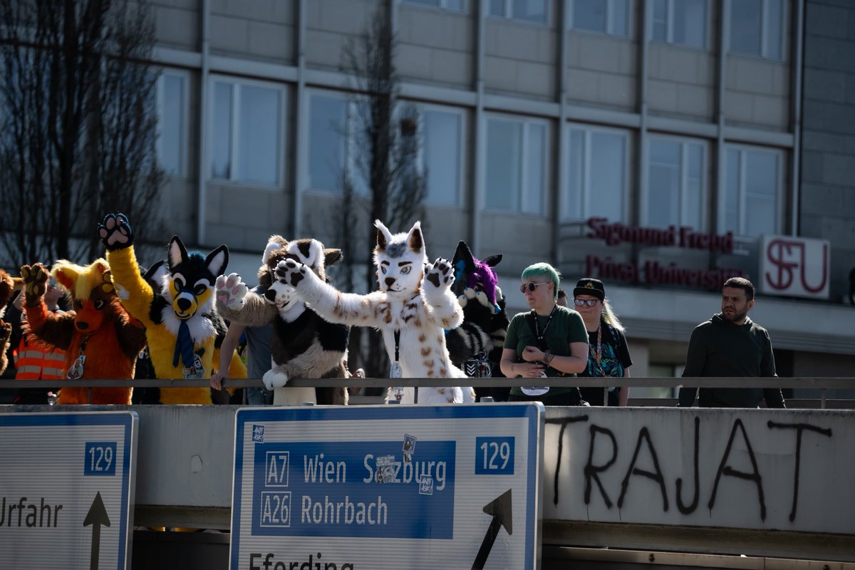 RyuxWolf's tweet photo. Was at the Linzer Suitwalk today!
The weather was great! Was a very nice event! 😊 https://t.co/TNG7Y8yA1L