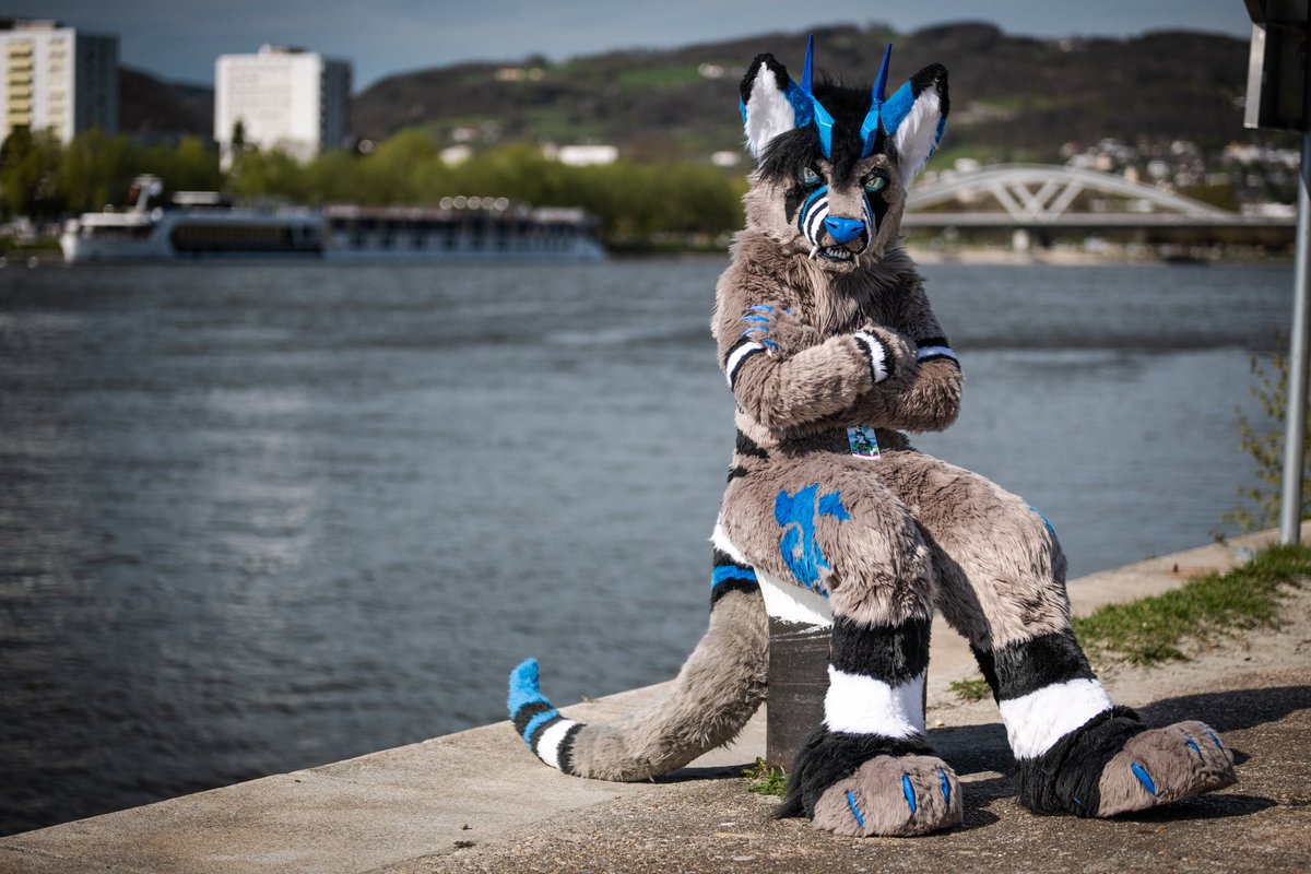 RyuxWolf's tweet photo. Was at the Linzer Suitwalk today!
The weather was great! Was a very nice event! 😊 https://t.co/TNG7Y8yA1L