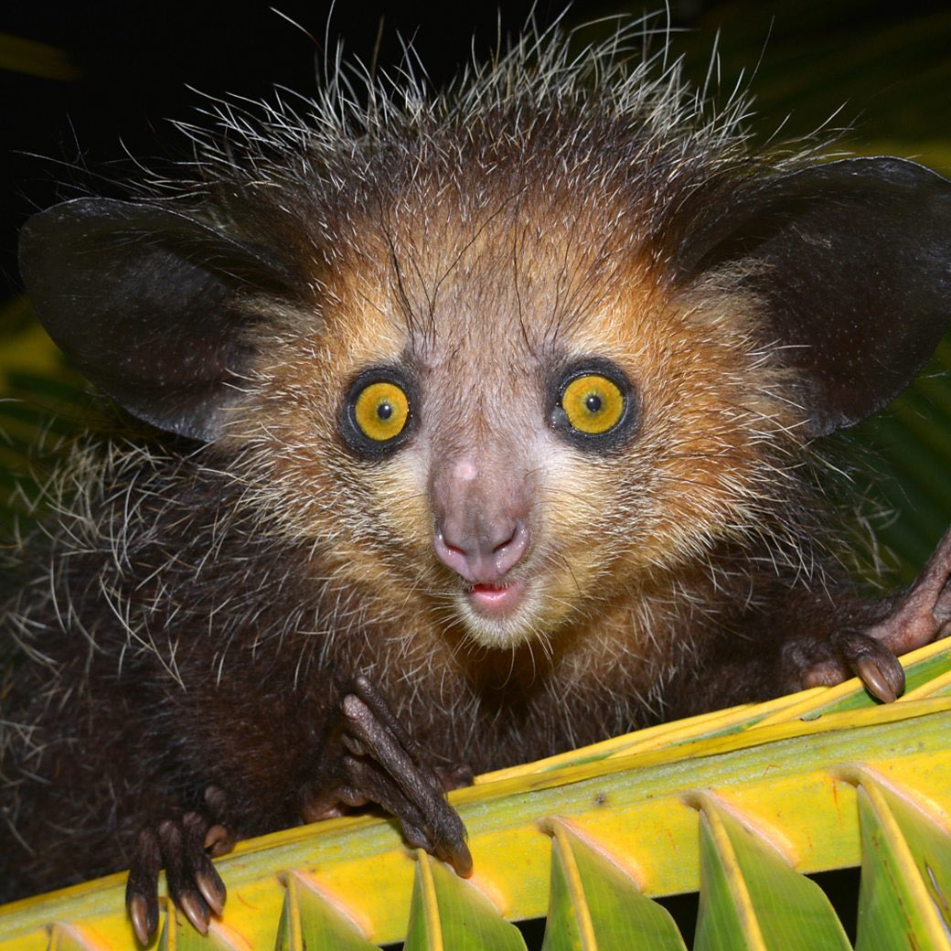 Bill Garcia tweet media