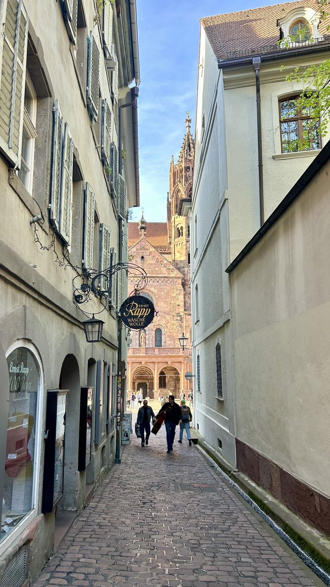 Fruk Lab (@fruklab) on Twitter photo FrukLab was well represented at 3D Cell Culture 2025 in Freiburg!
Postdoc <a href="/AndresGSam/">Andrés García</a> delivered a talk on #TumourModels, while PhD student Alex Evtushenko presented a poster on #CancerNanomedicine. Plenty of great science, beautiful views, and Freiburger Laugenbrezeln 🥨! FrukLab was well represented at 3D Cell Culture 2025 in Freiburg!
Postdoc <a href="/AndresGSam/">Andrés García</a> delivered a talk on #TumourModels, while PhD student Alex Evtushenko presented a poster on #CancerNanomedicine. Plenty of great science, beautiful views, and Freiburger Laugenbrezeln 🥨!