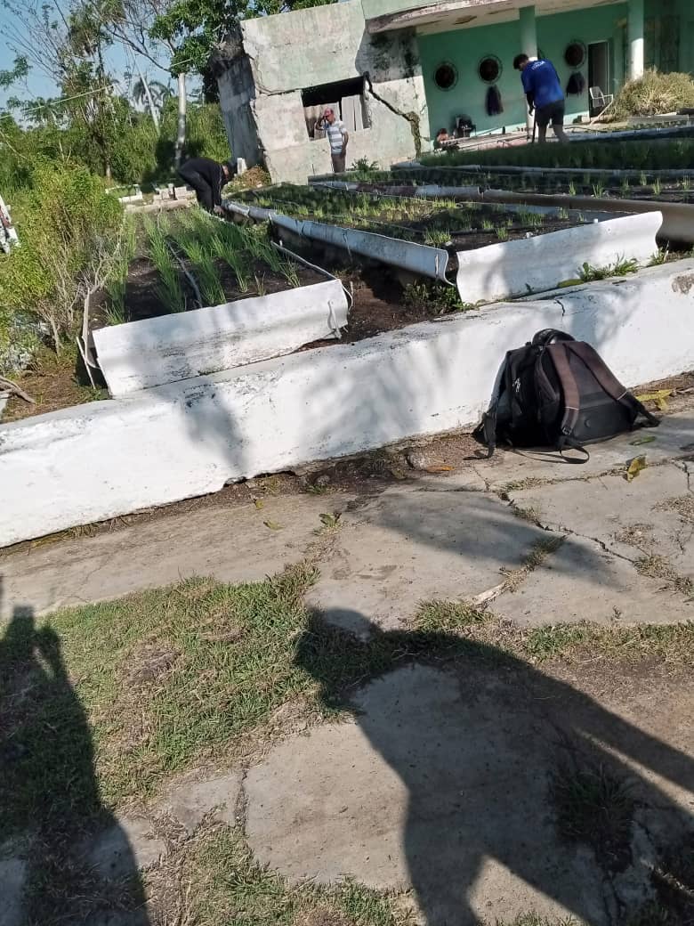 Con el esfuerzo de todos, ya viene dando sus frutos el organopónico de la <a href="/universidad_uci/">Universidad de las Ciencias Informáticas</a>. Cualquier acción encaminada a mejorar la elaboración de la alimentación, contribuye a elevar la calidad del servicio que se brinda a nuestros estudiantes y trabajadores #GenteQueSuman