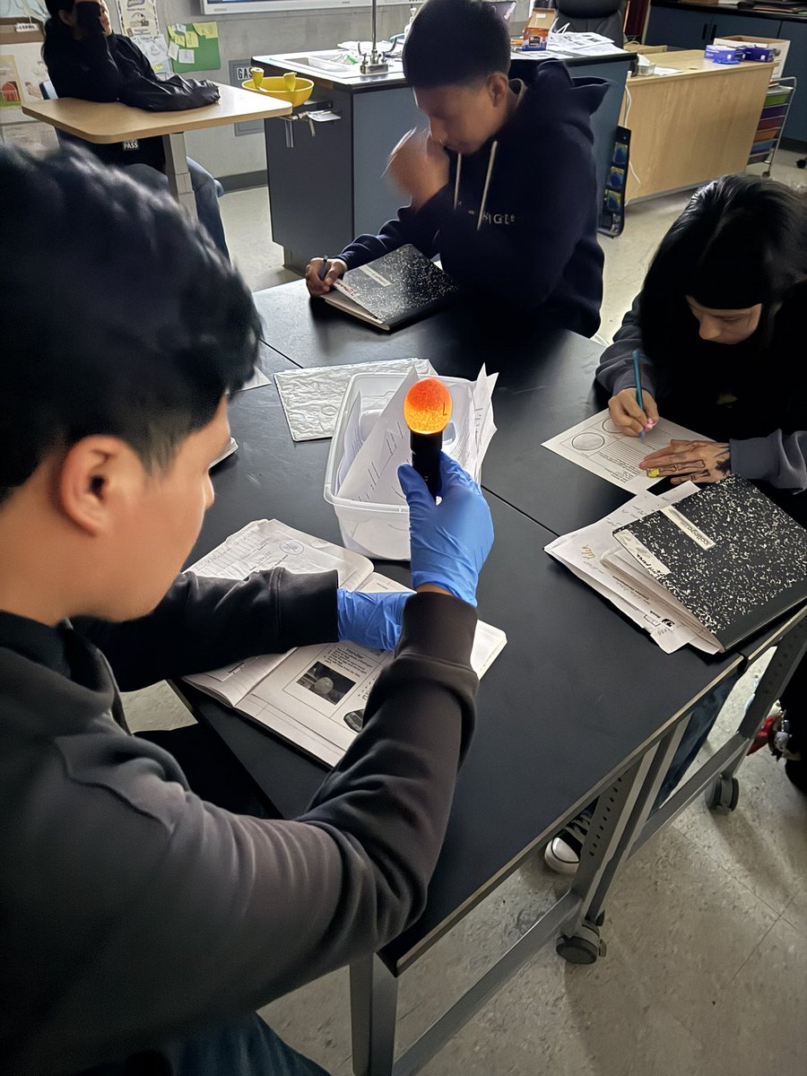 aqgillespie's tweet photo. Late post: students candling eggs to learn about embryonic similarities 🐻💚 #proudtobeGUSD #ThisIsGUSD #CultivateCuriosity @GUSDEdServices @LCortezGUSD @krisvasquez75 @lorenalopez0210 @jackyvale18 @callme_sanchez @VistaVerdeGrizz @parker_ideas #middleschoolscience https://t.co/tTiZXelKtU