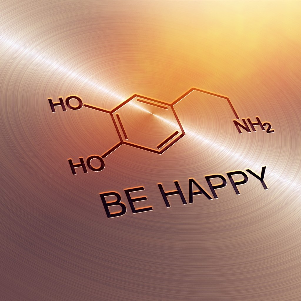 Dopamine's function is not as simple as reward and pleasure!

Dopamine is, in fact, central for how we attribute "salience," i.e. relevance, to events. Surges in dopamine are observed following positive AND negative experiences, helping us lay down a marker for future reference.