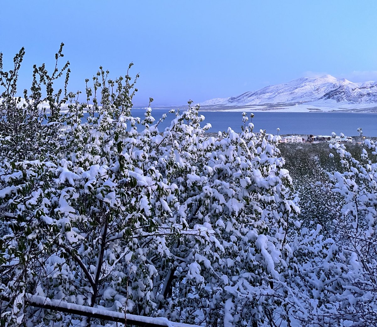 Gece soğuk indi toprağa…
Don değil sanki felaketti bu.
Sabah uyanınca kayısı yoktu, umut yoktu.
#KayısılarYandıUmutlarSöndü