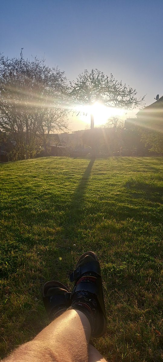 AnuluNixBalaBala (@undocht) on Twitter photo 