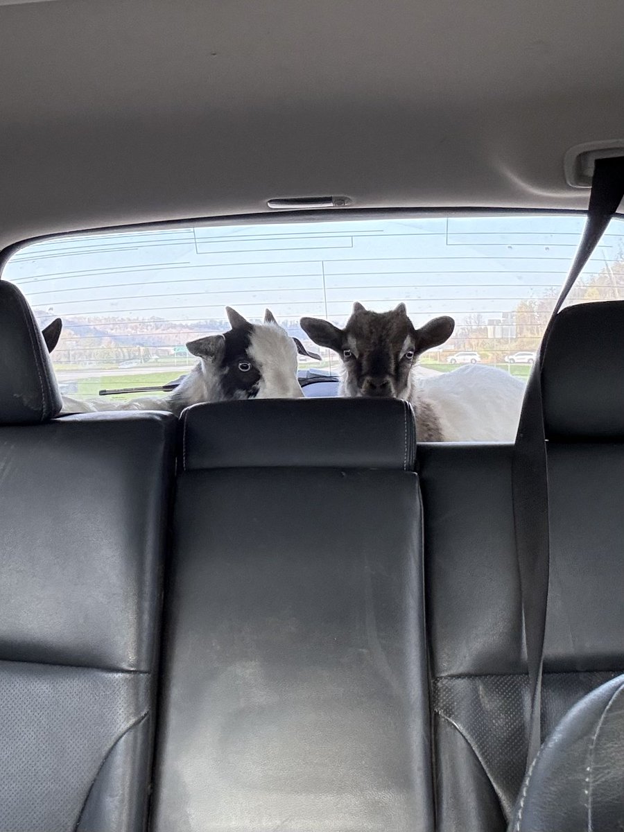 omw