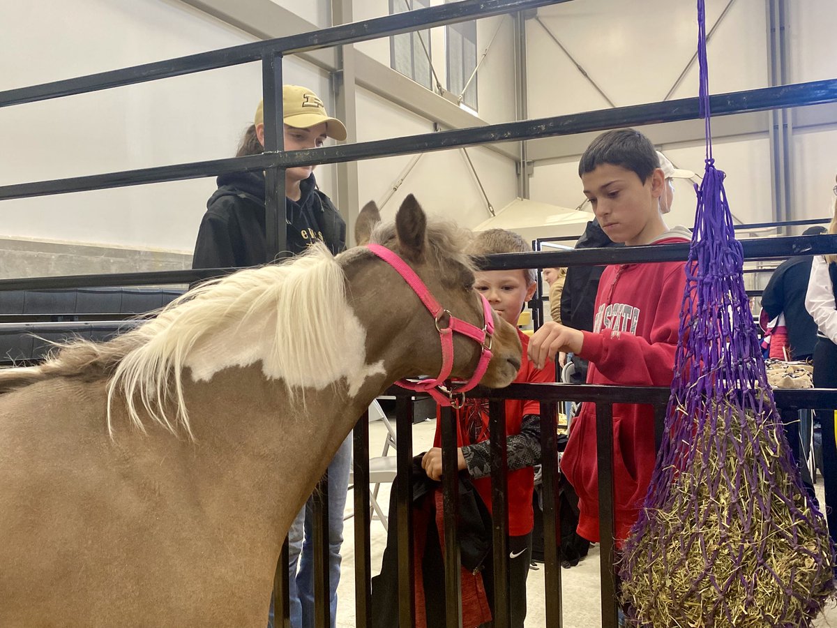 PurdueAg's tweet photo. Visit the Boiler Barnyard to meet @PurdueANSC farm animals, learn how to milk a cow and more at #PurdueSpringFest. https://t.co/Pz4rDhQia6