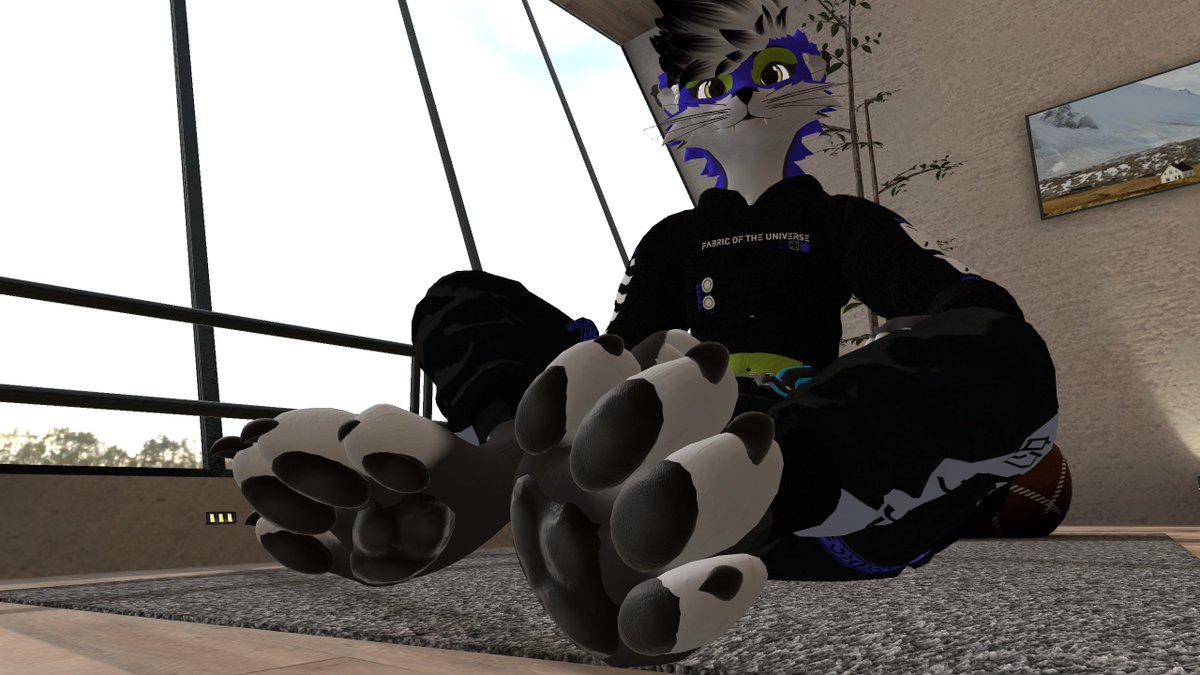 Ledo_Yield's tweet image. Here&apos;s your daily dose of beans!!!! 🐾