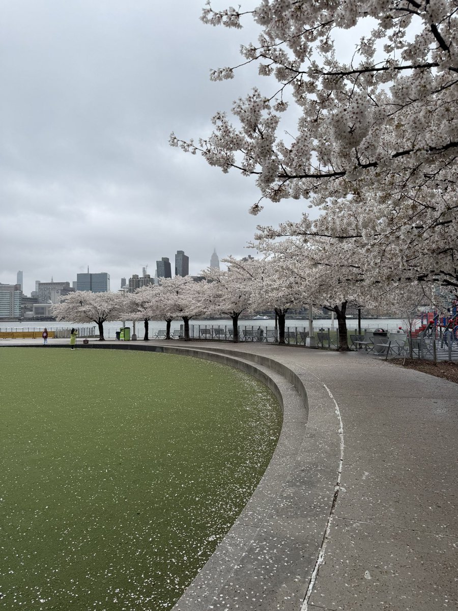 TanjaTrades's tweet photo. Gloomy day in nyc https://t.co/R7MKAr9ntt