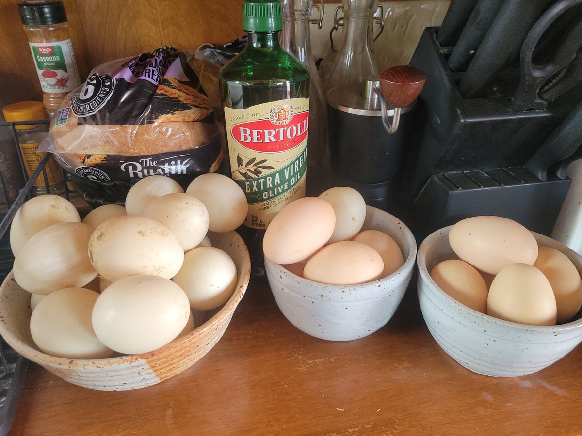 ShaunaBog1966's tweet photo. @RobertKennedyJc MAHA...raising our own eggs and meat..thank you for all you are doing! https://t.co/v60wPpySKD