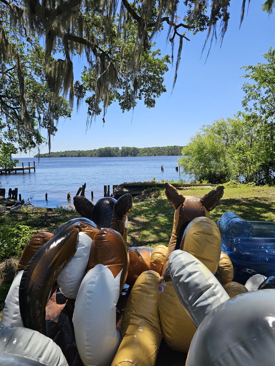 fuzzychubbywolf's tweet image. Squeaky Saturday.