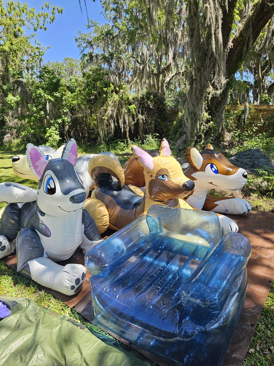 fuzzychubbywolf's tweet image. Squeaky Saturday.