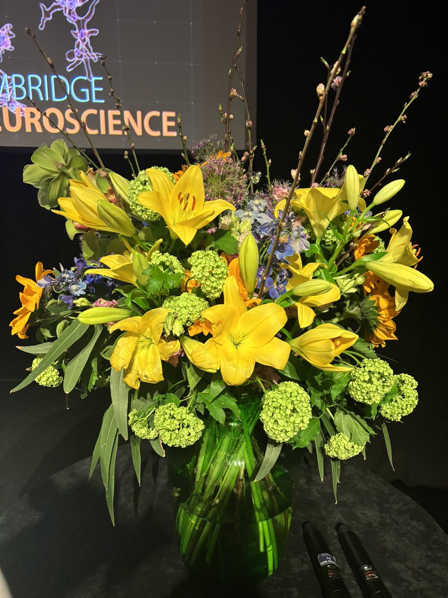 Cam Neuroscience (@camneuro) on Twitter photo Come join us…..excited to announce this new part time position to join the amazing <a href="/CamNeuro/">Cam Neuroscience</a> community ⬇️⬇️⬇️ Come join us…..excited to announce this new part time position to join the amazing <a href="/CamNeuro/">Cam Neuroscience</a> community ⬇️⬇️⬇️