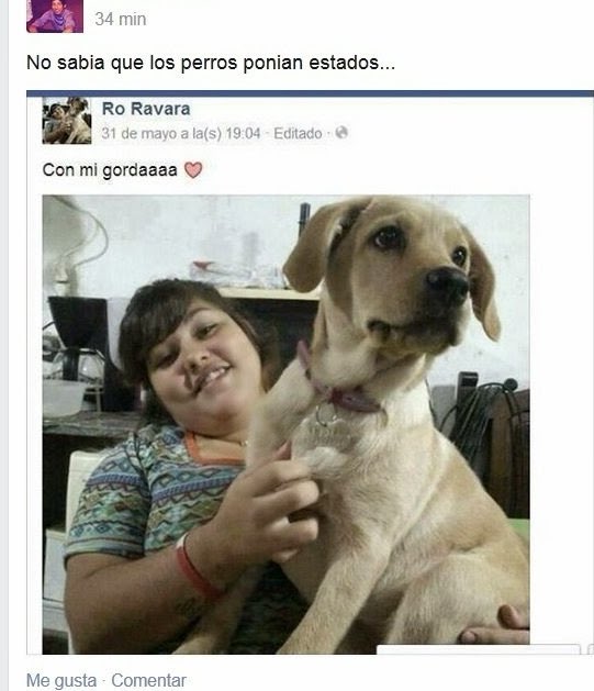 cada vez que le digo mi gordaaaa a la perra pienso en esto