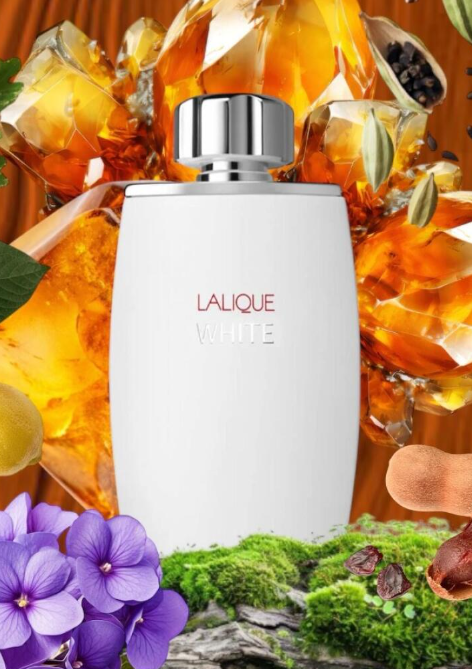 Mr. Perfumer tweet media