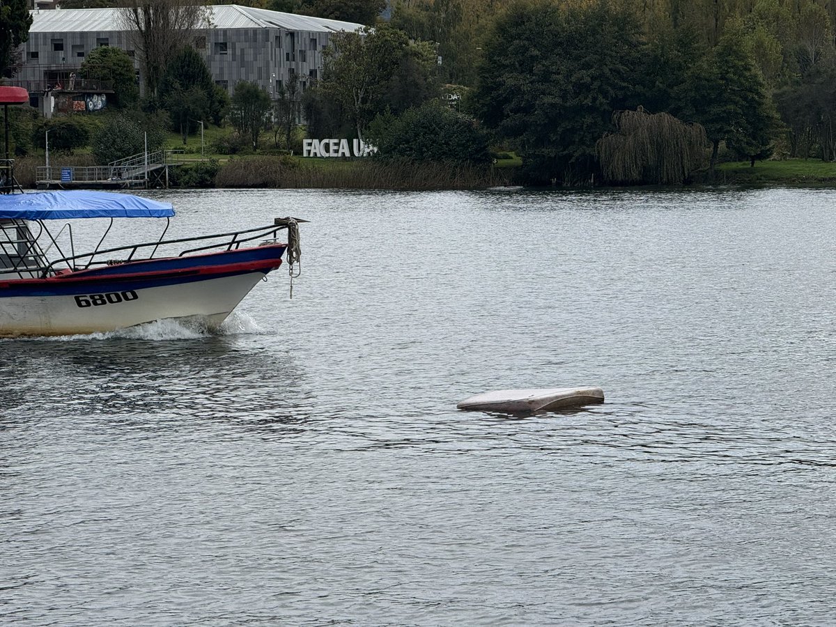 Que lata ver un colchón flotando en el Río. 
#Valdiviacl