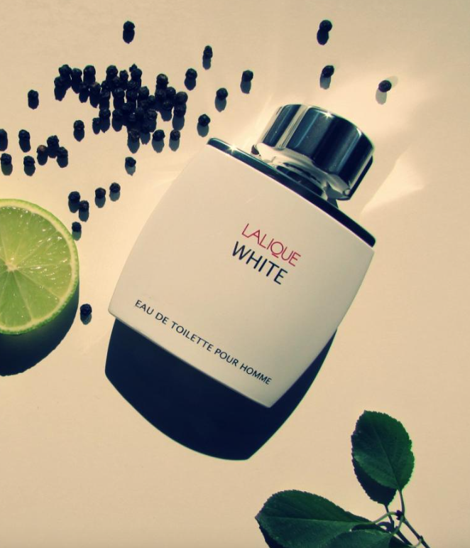 Mr. Perfumer tweet media